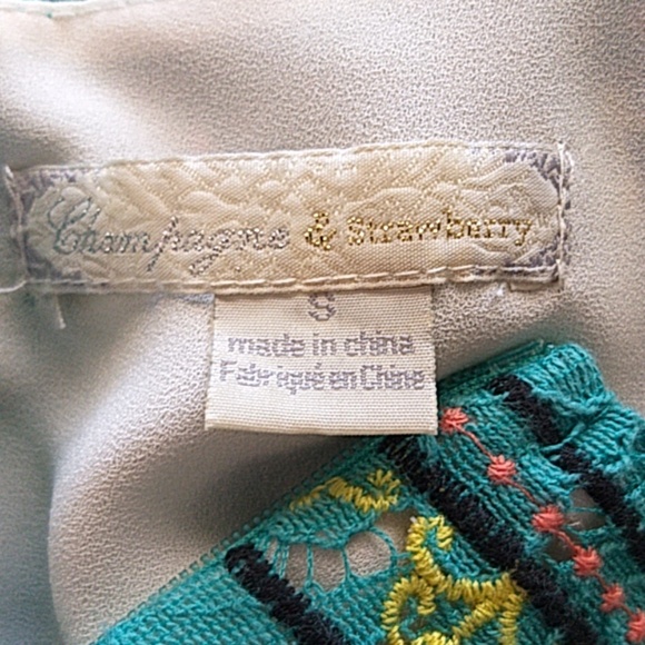 Champagne & Strawberries Embroid Dress - Picture 4 of 8